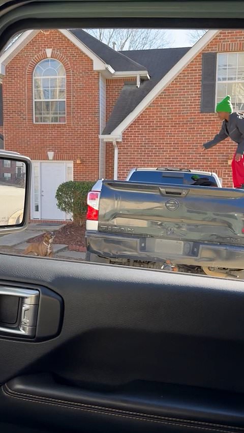 Woman helps boy cornered by barking dog
