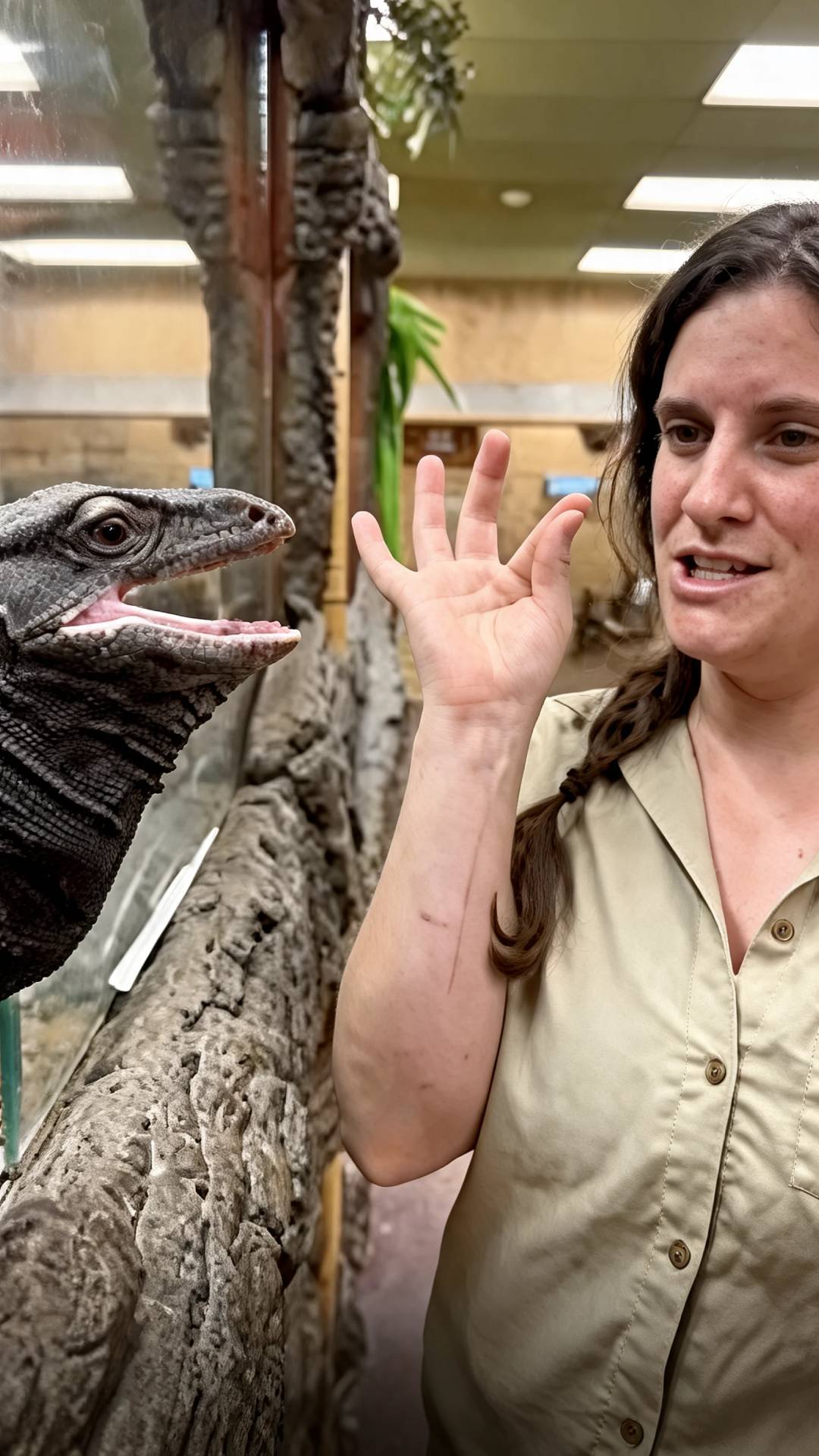 Handler calls this monitor lizard disrespectful after feeding lunge