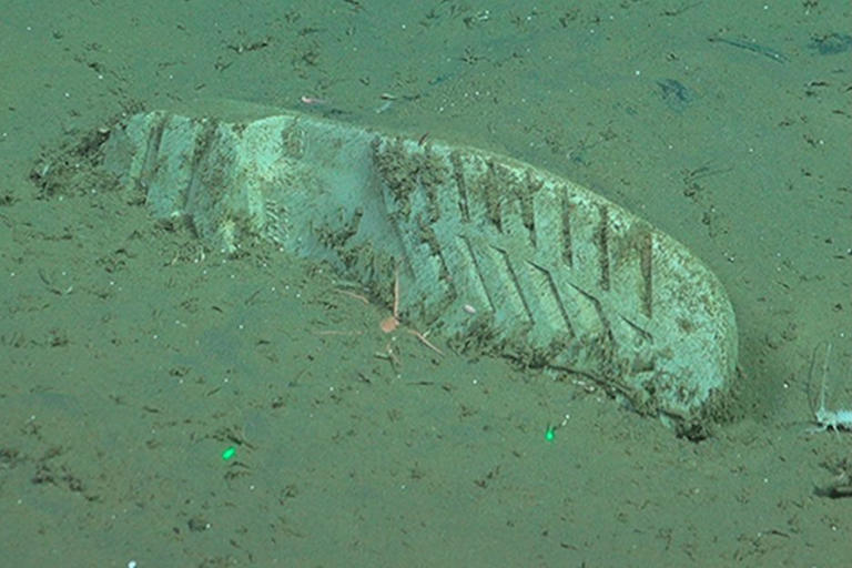 Scientists just photographed a place that's never been seen by humans ...