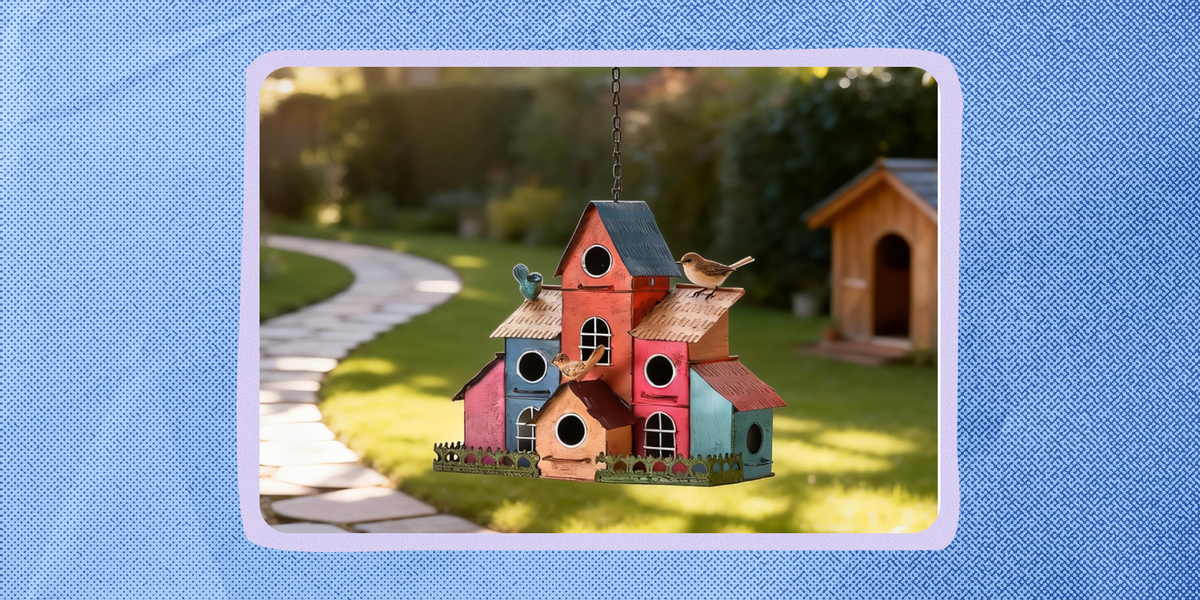 https://img-s-msn-com.akamaized.net/tenant/amp/entityid/AA2cmW0w.img?w=768&h=384&m=4&q=100