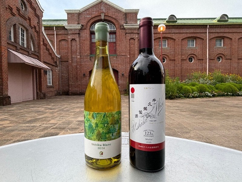 japan-s-ushiku-in-ibaraki-pref-aims-to-become-major-wine-region