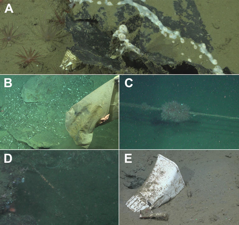 Scientists just photographed a place that's never been seen by humans ...