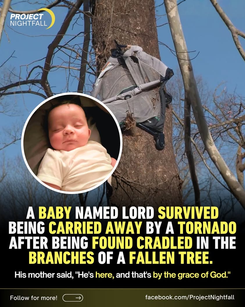 Baby swallowed by tornado, found miraculously alive in a tree!