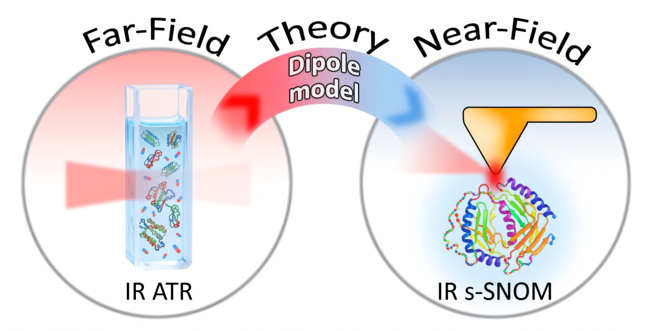 Ultrathin membranes unlock nano-infrared views of biomolecules in water