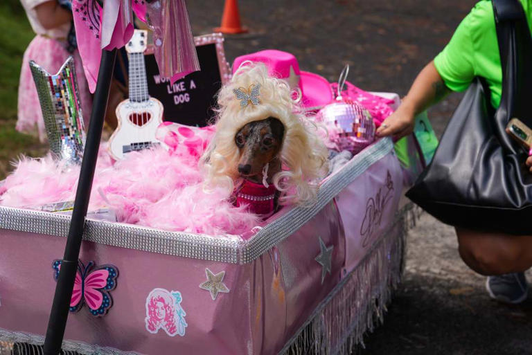 Germantown crowns winners of Running of the Weenies race