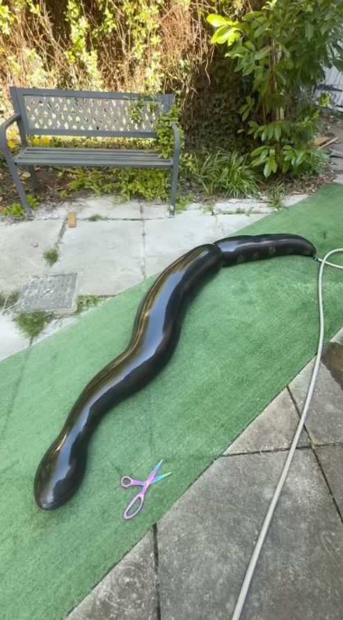 Inflating rubber snake until it explodes