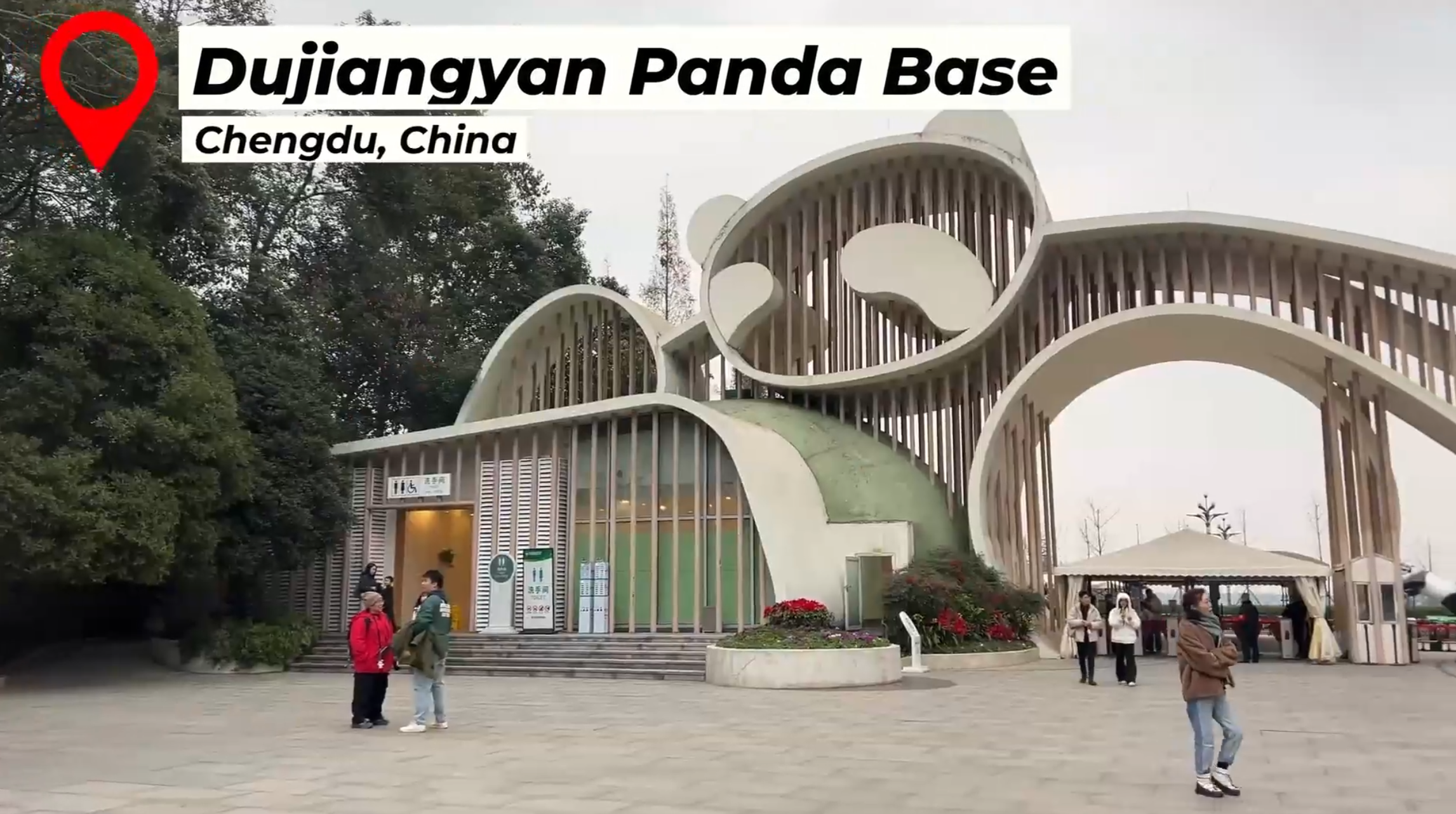 Exploring Chengdu’s Giant Panda Research Base