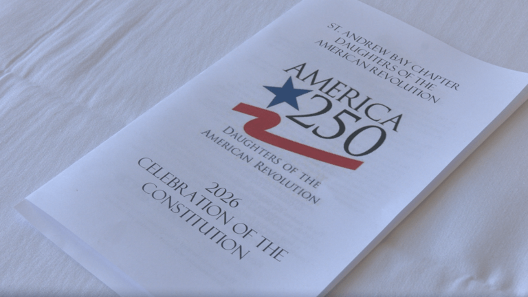 The Daughters of the American Revolution kick off Constitution Week
