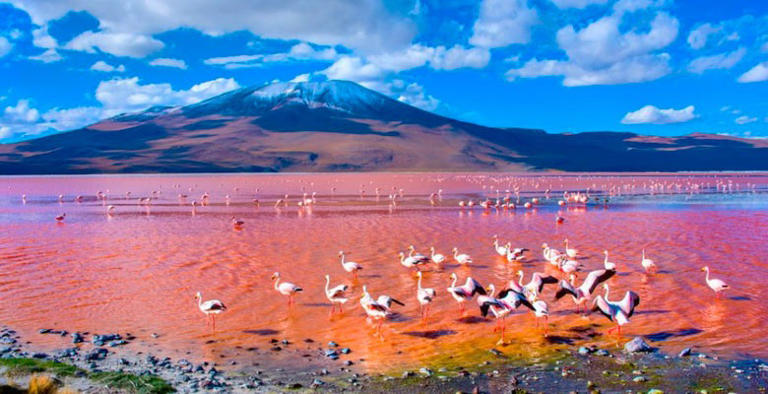 Surreal lakes around the world that mysteriously change color