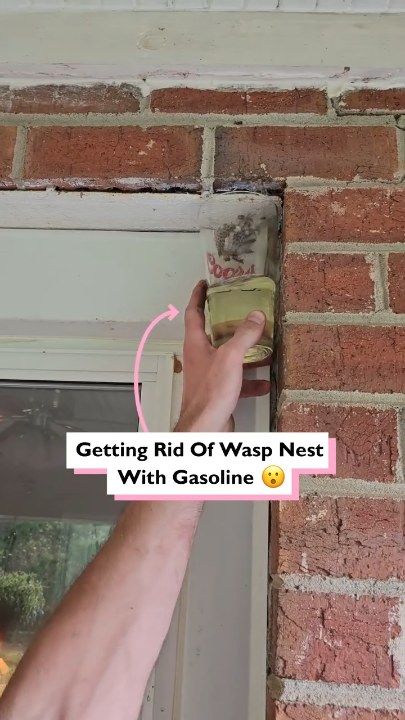 Getting rid of wasp nest with gasoline