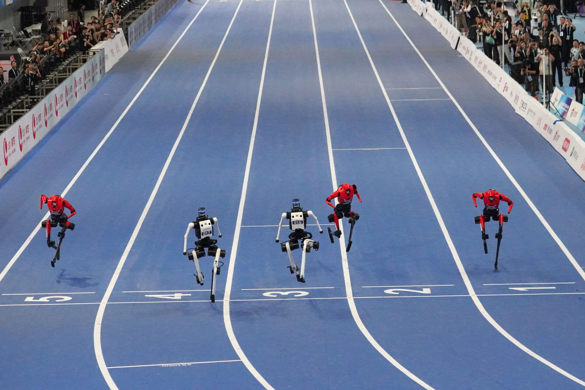 The Robot Olympics