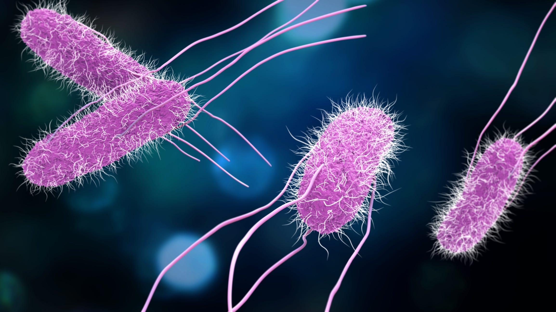 Salmonella case reported at Monroe County Jail