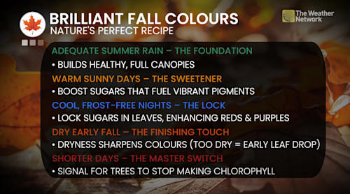 3 things you'll want to know with fall arriving next week