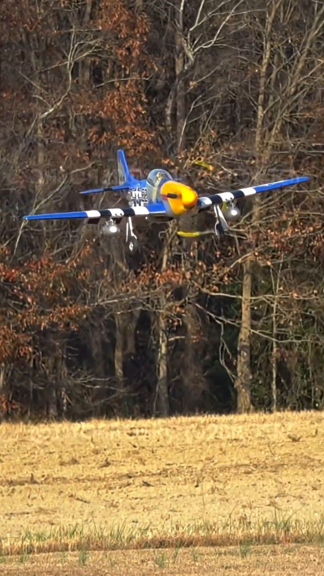 P-51D Mustang landing reveals RC aviation precision