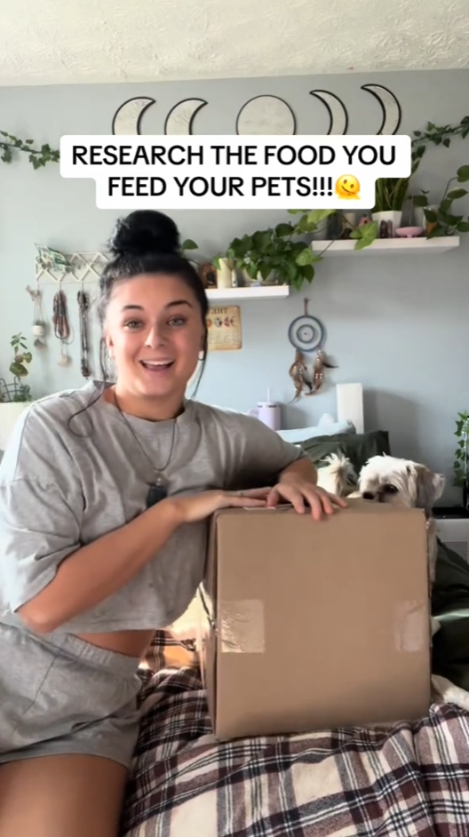 Dog feeding lessons that highlight better food research