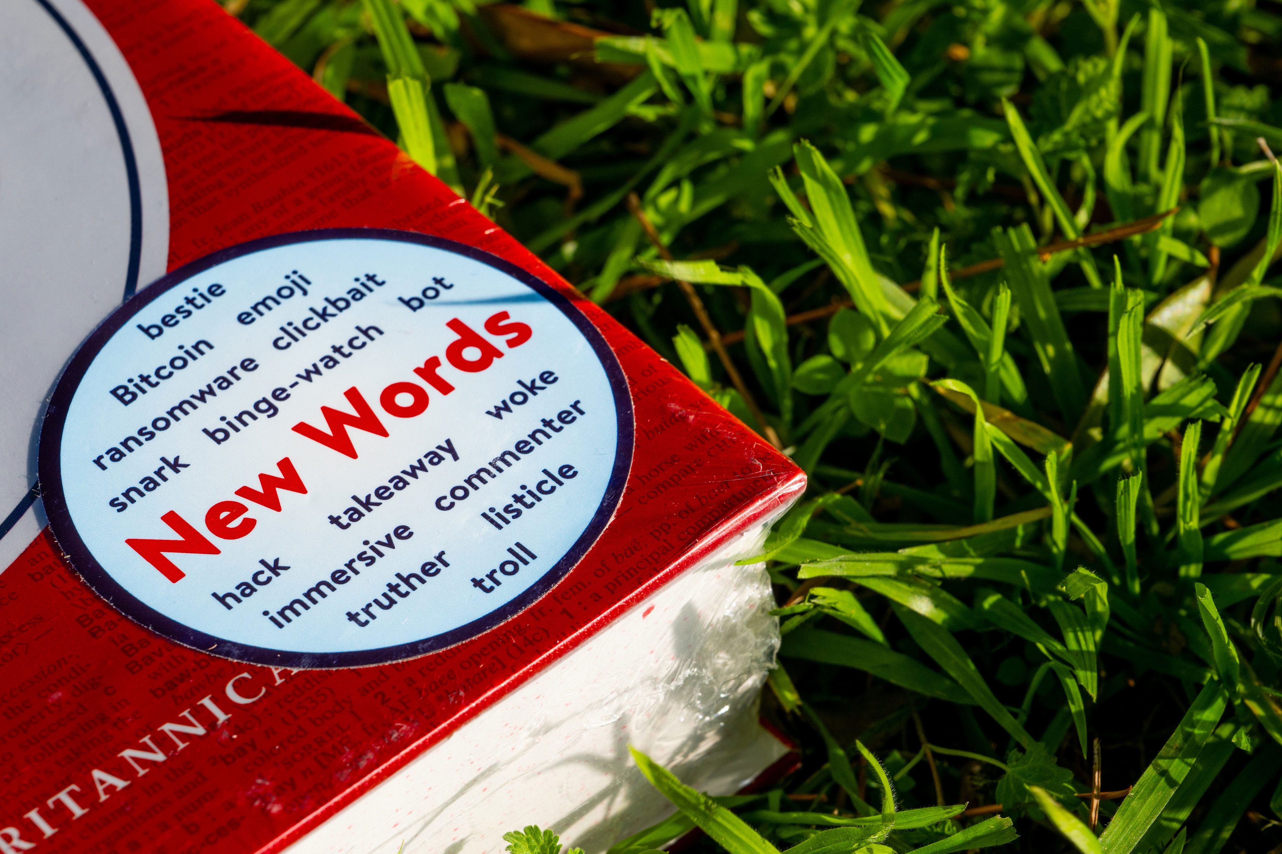 Merriam-Webster adds 1,400 words and definitions, from 'vibe coding' to ...