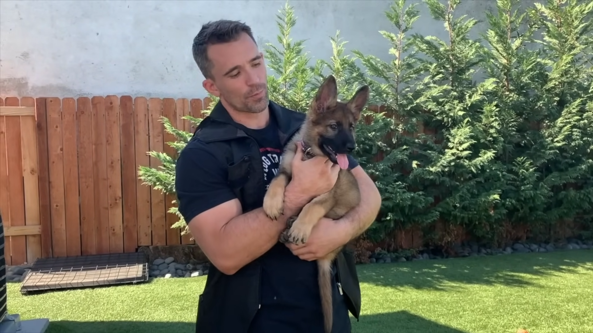 Young German shepherd starts service dog training