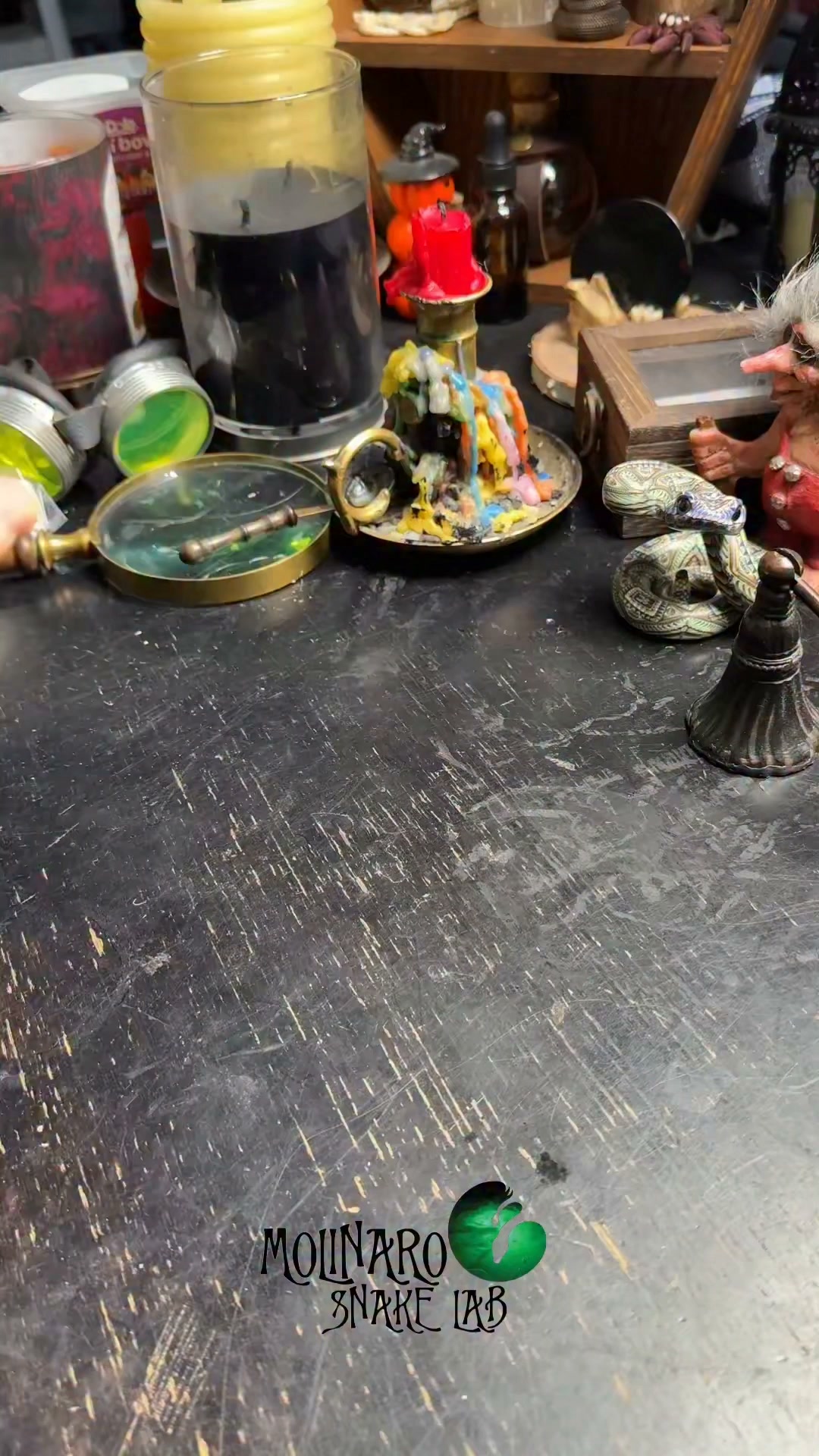 Our going away ritual! Two more ball pythons leave