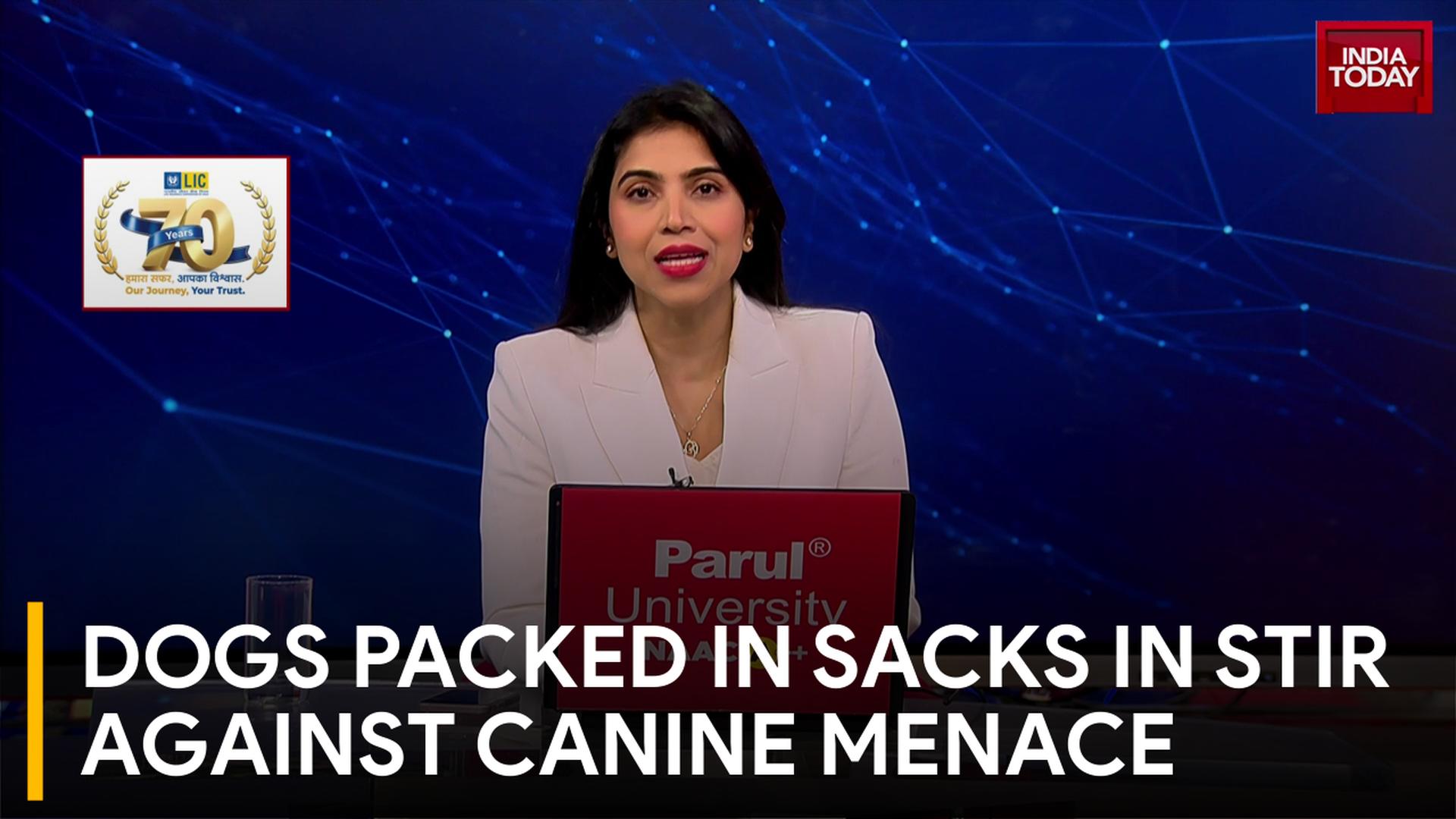 Stray dog menace protest sparks animal cruelty charges after dogs ...