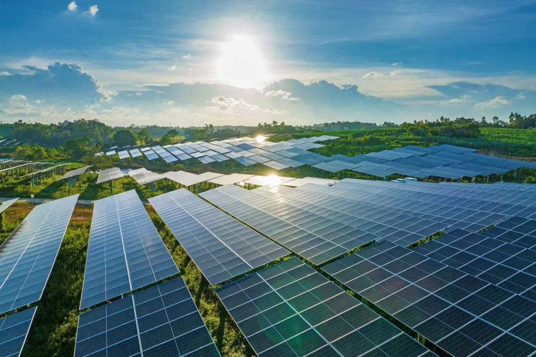Power Grid Corporation in focus after fully commissioning 2,500 MW ...