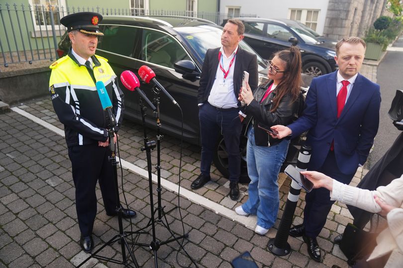 Gardaí arrest man in connection with alleged Michael Healy-Rae assault ...