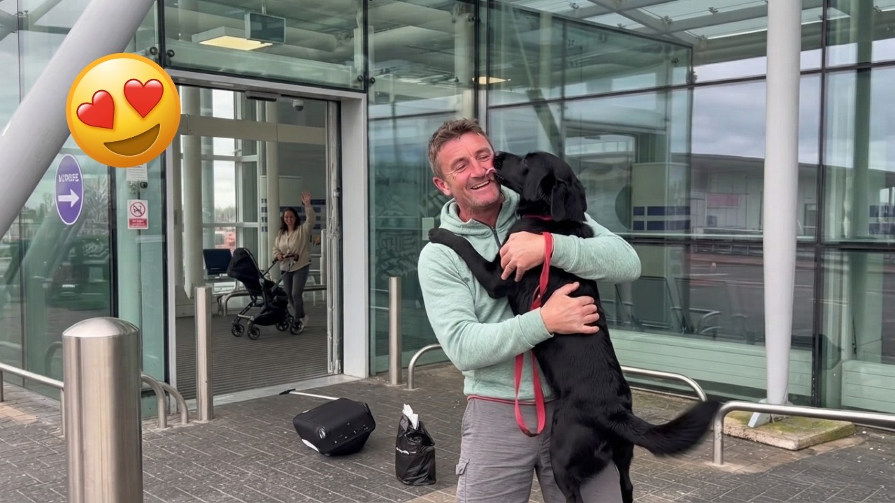 The bond between pets and their humans will melt your heart