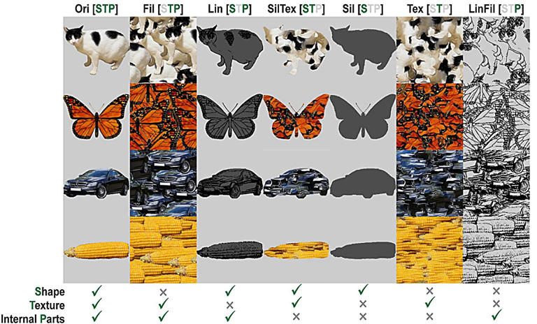 AI still isn't as good at recognizing objects as people are, new test shows