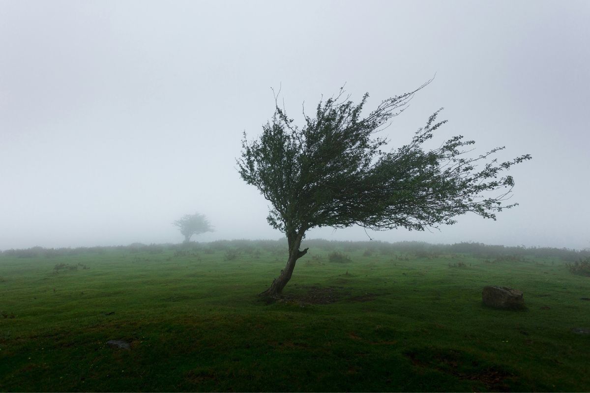 Weather: Strong winds to hit four provinces as snow looms in the Cape