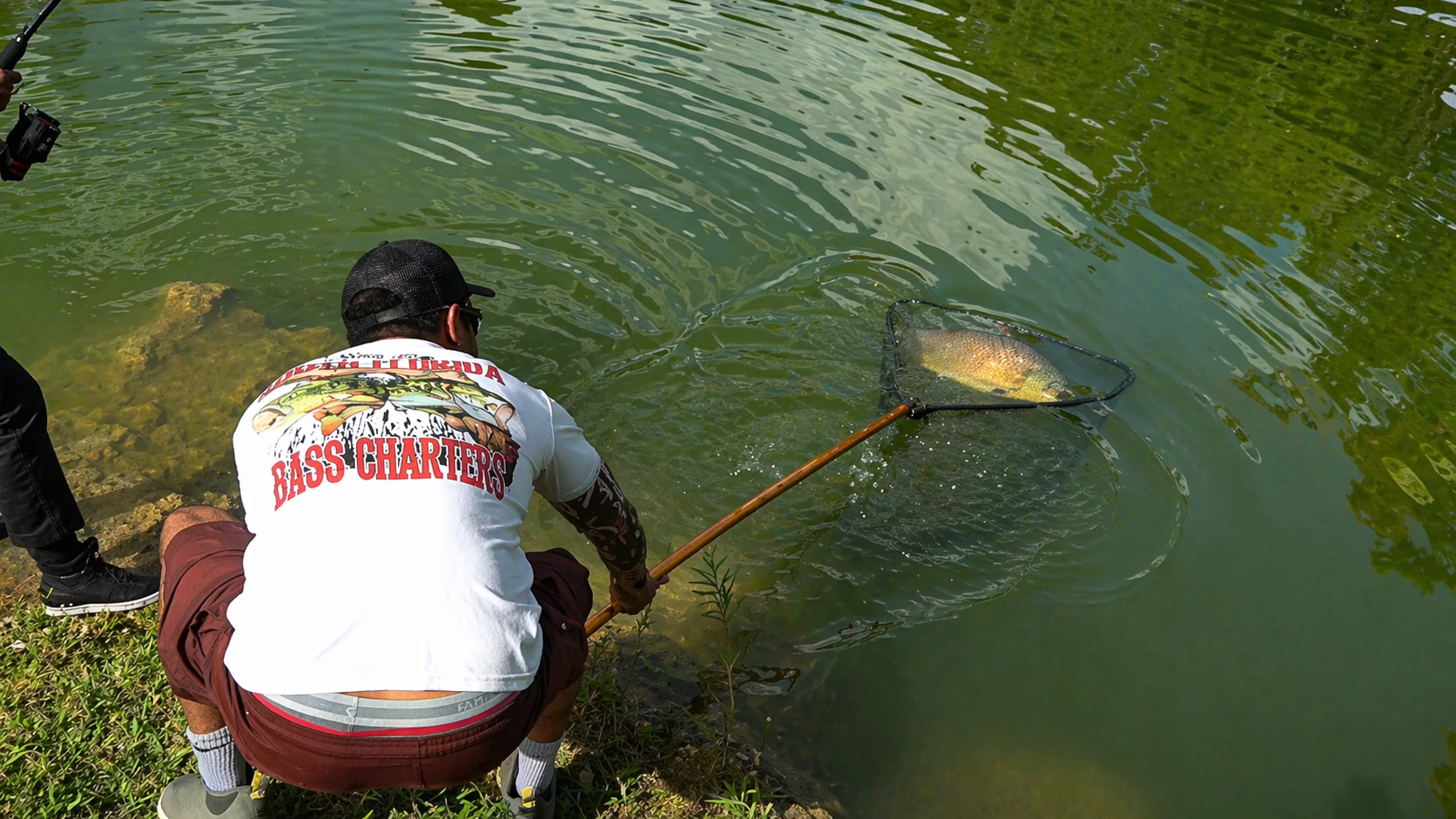 He hooked a giant piranha when it almost escaped under the bridge ...
