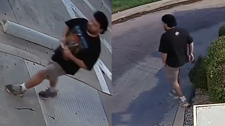 Arrest made after attempted kidnapping at a North Texas park, police say