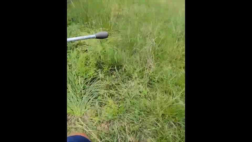 I tried the extreme MTB fishing slam! (Casting while riding)