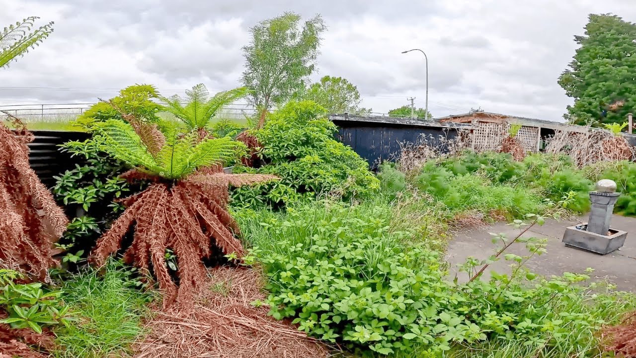 Hobart rental: chaos to calm backyard