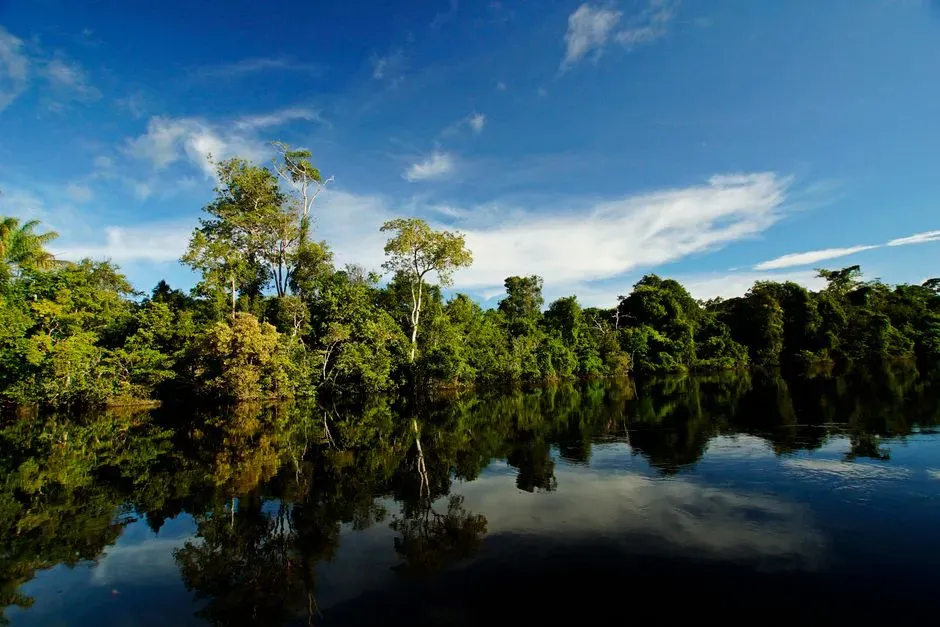 15-untouched-ecosystems-that-are-still-thriving-but-not-for-long