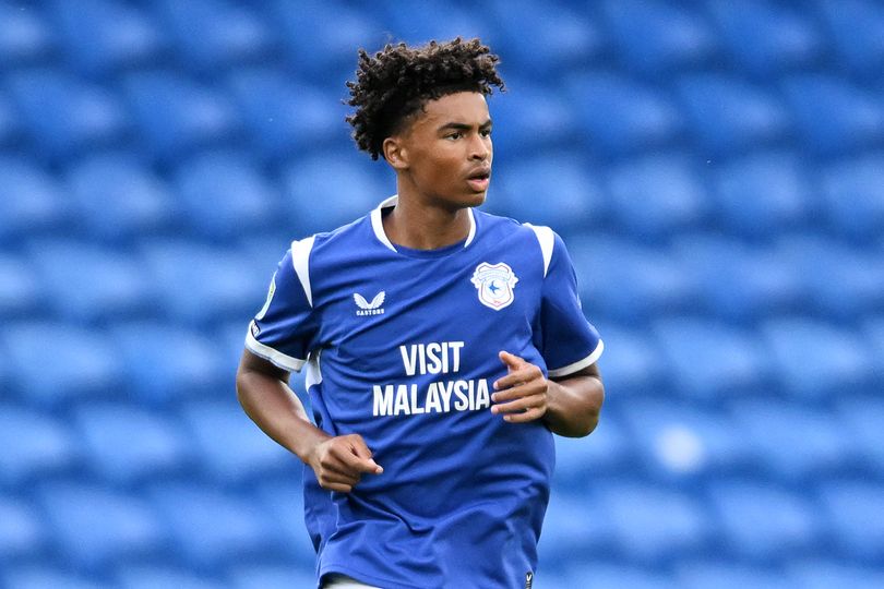 Cardiff City history-maker earns huge Wales promotion as six Bluebirds ...