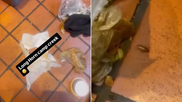 Disgusting video shows roaches inside Longhorn Steak House