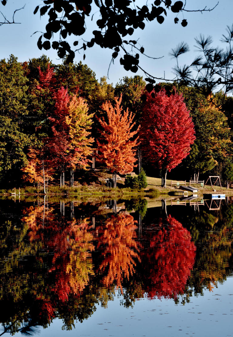 Where can you see Michigan's fall colors? Map, forecast, peak times