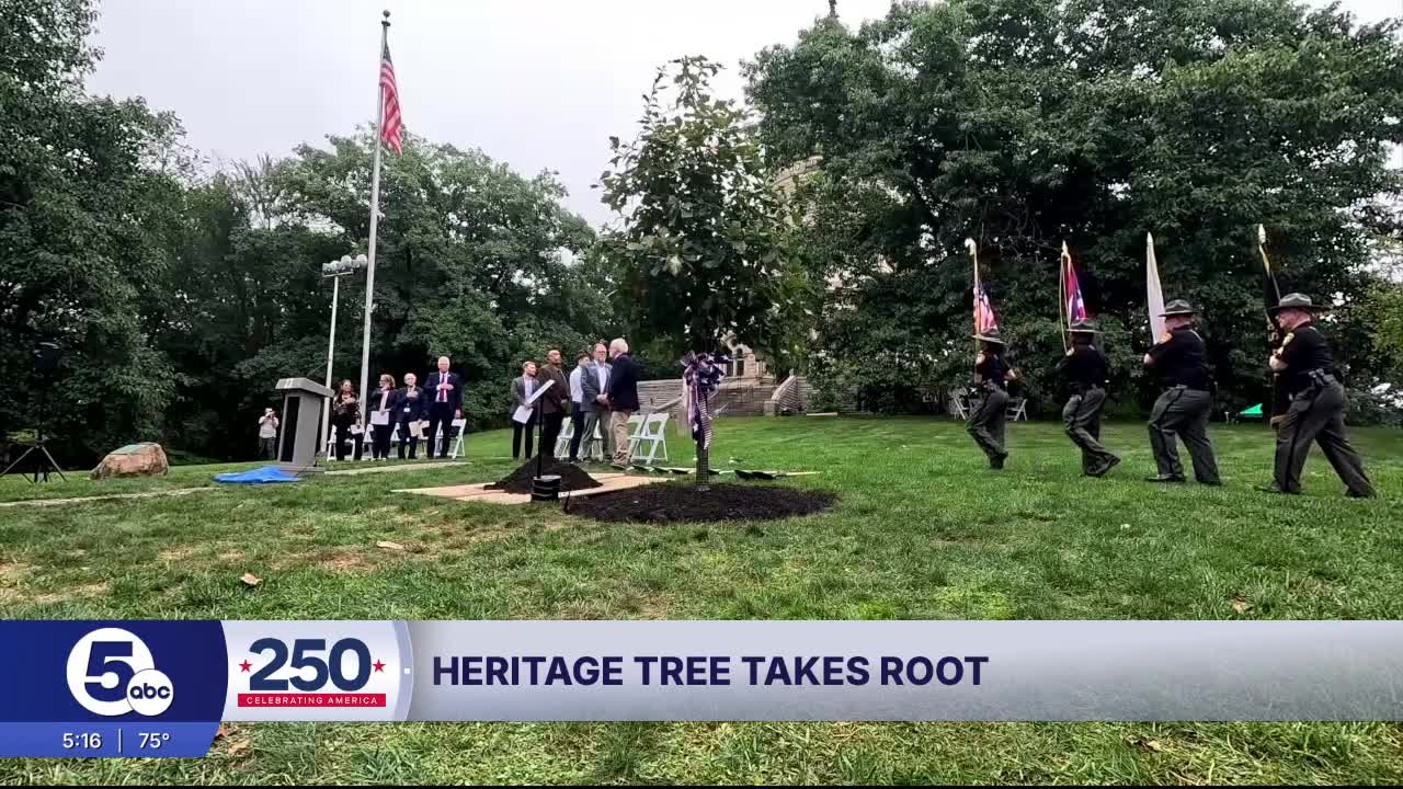 Heritage tree takes root