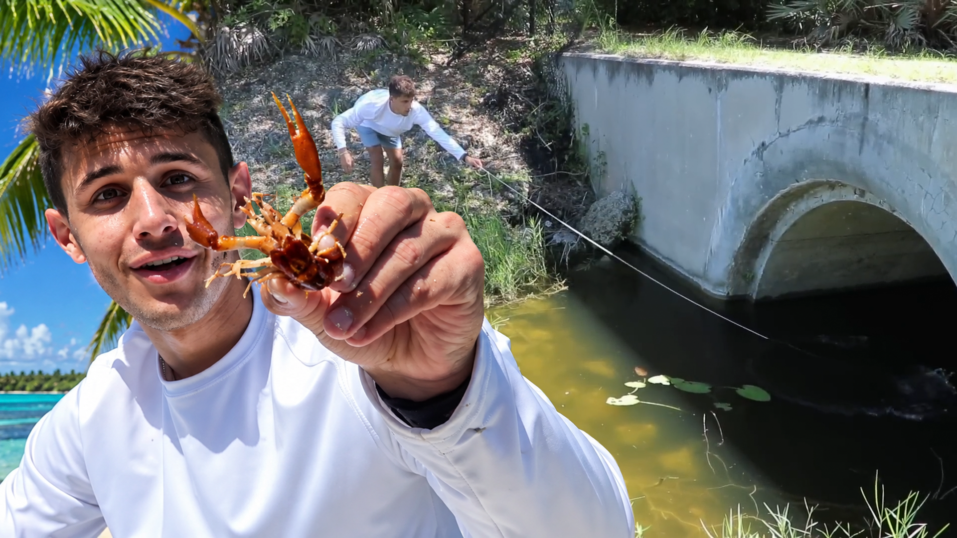 Fish trap catches creepy creatures in a hidden tunnel