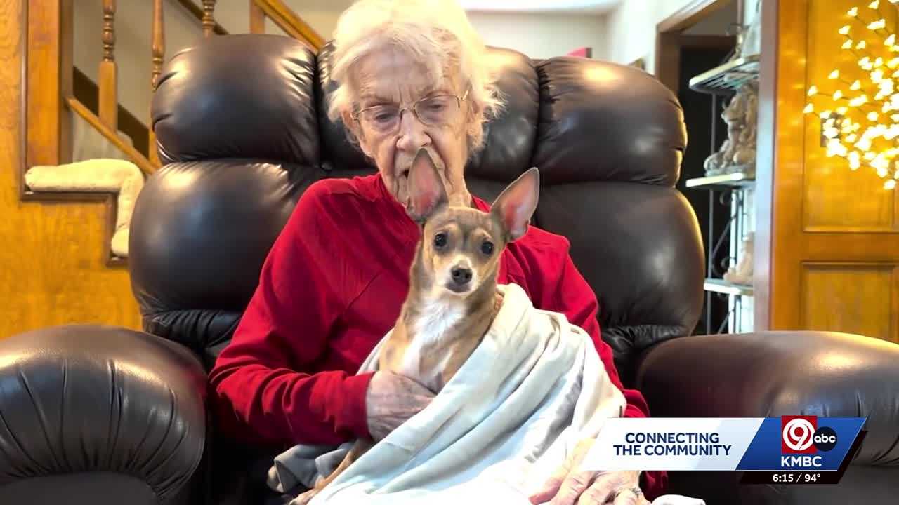 'Love at first sight': Blind Chihuahua Mocha finds loving home with 91 ...
