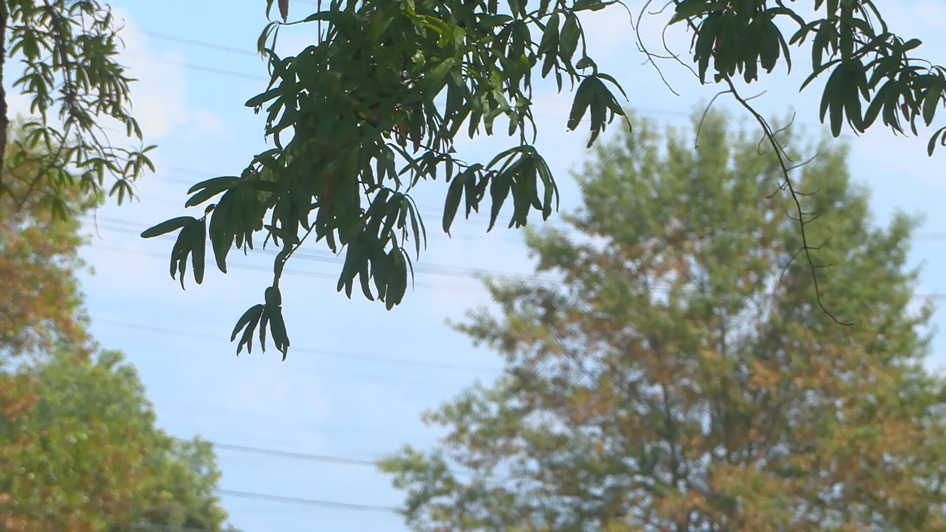 Lebanon High School moves homecoming parade due to heat