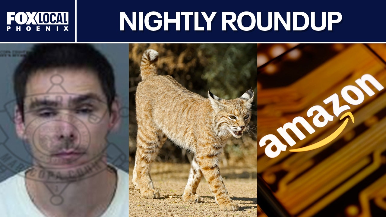 Rabid bobcat shot in Arizona; Phoenix teacher placed on leave | Nightly ...