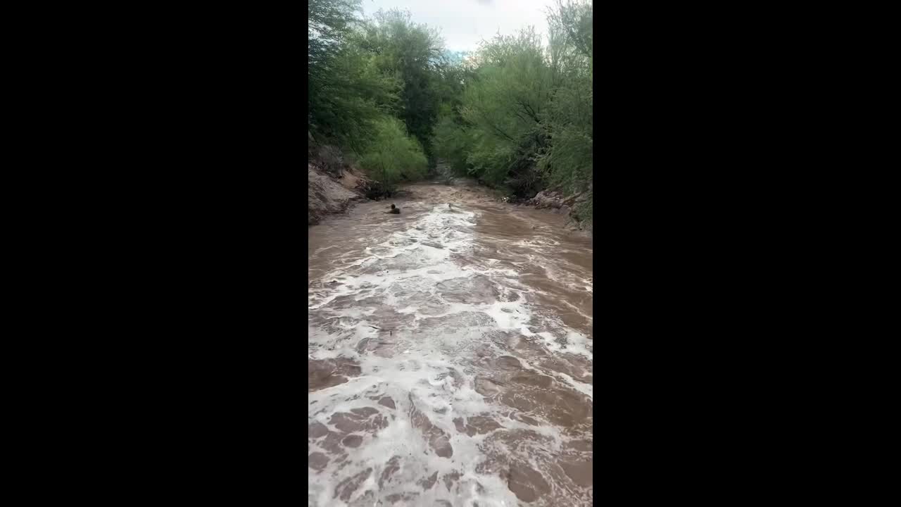 Firefighters rescue stranded driver with aerial ladder during floods in ...
