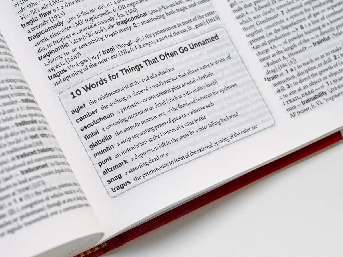 Merriam-Webster adds 1,400 new words in 2026: Vibe coding, meme coin ...