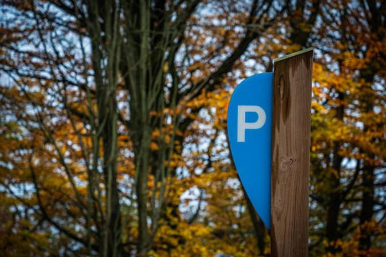 Motability and Blue Badge changes could be made after Timms review