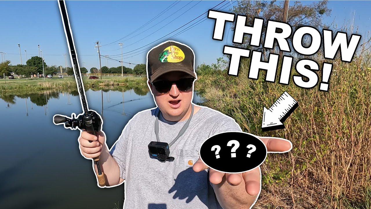 The best pond fishing lure for fall bass fishing?