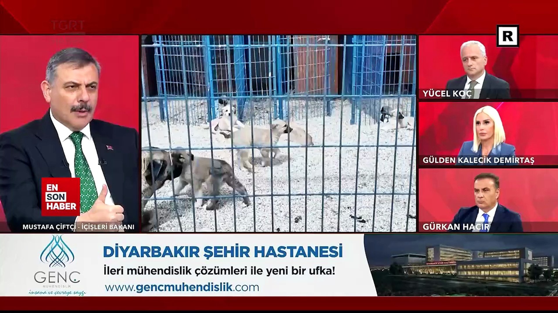 Mustafa Çiftçi: 1,5 ay sonra başıboş köpek sorunu kalmayacak