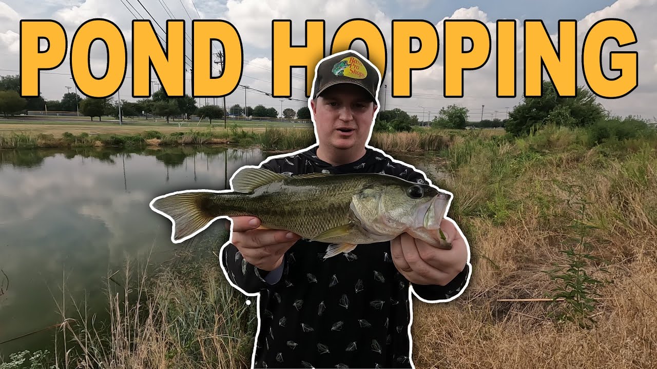 I am back for fall bass fishing in urban ponds