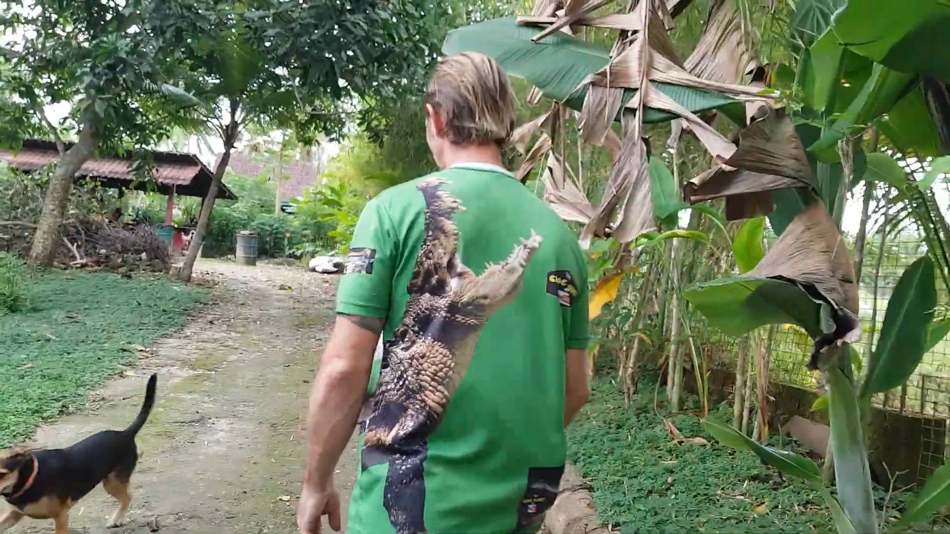 Angry snakes on the attack | A tense close-range encounter