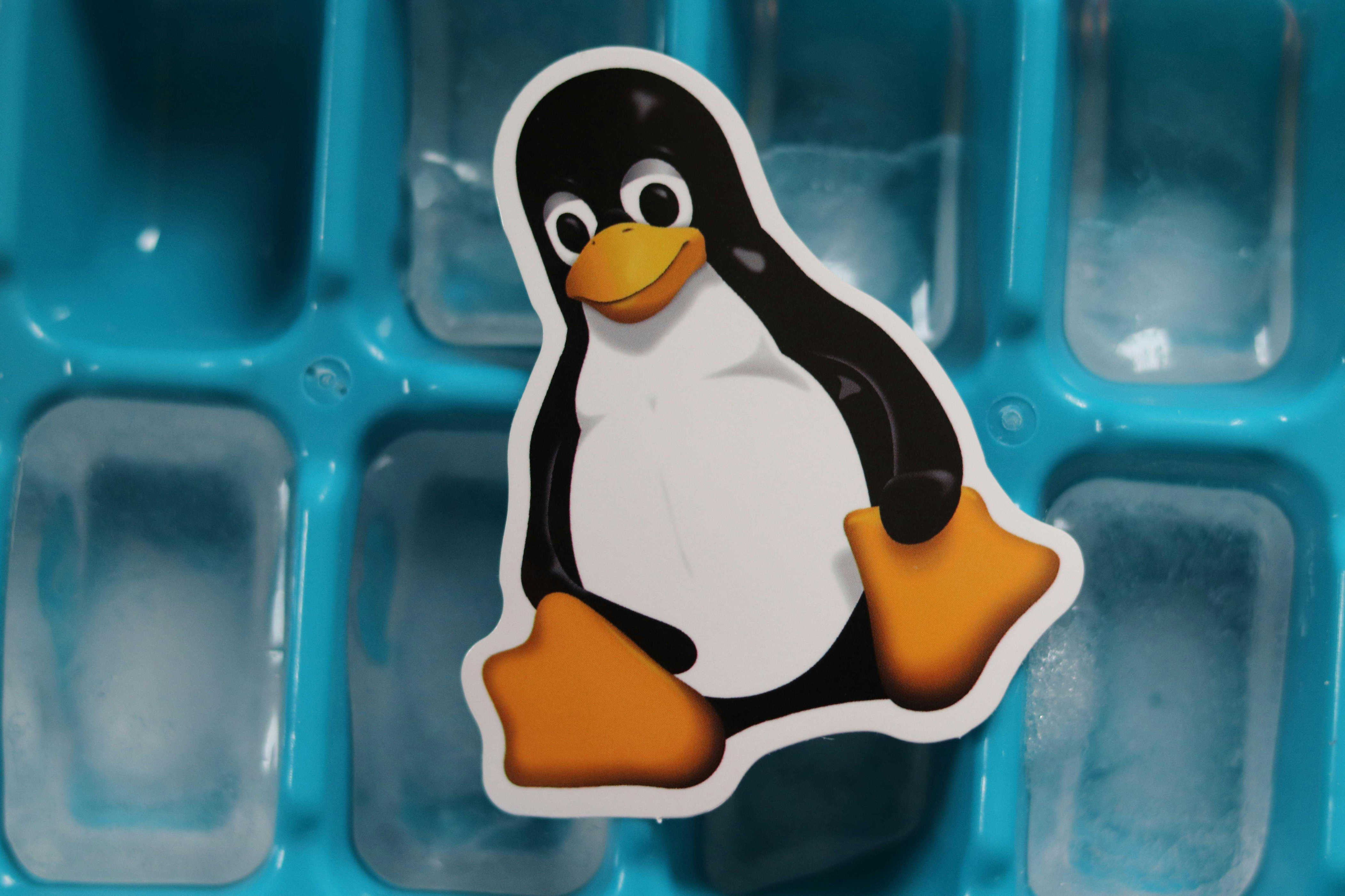 Linux fixed a Windows frustration I didn’t know I had