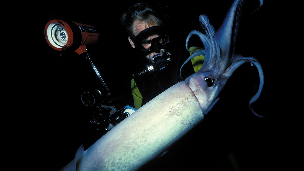 Earth’s most alien-looking creatures hiding in plain sight